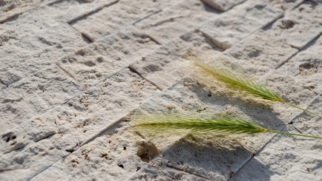 Travertine mosaic “5.0×10.0 Light Blend” Split