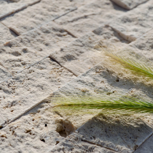 Travertine mosaic "5.0x10.0 Light Blend" Split