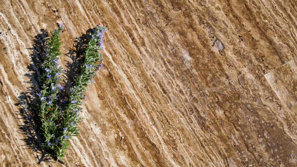 Vein-cut travertine “Zebra Velvet”