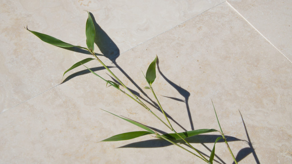 Cross-cut travertine "Nuvolato"