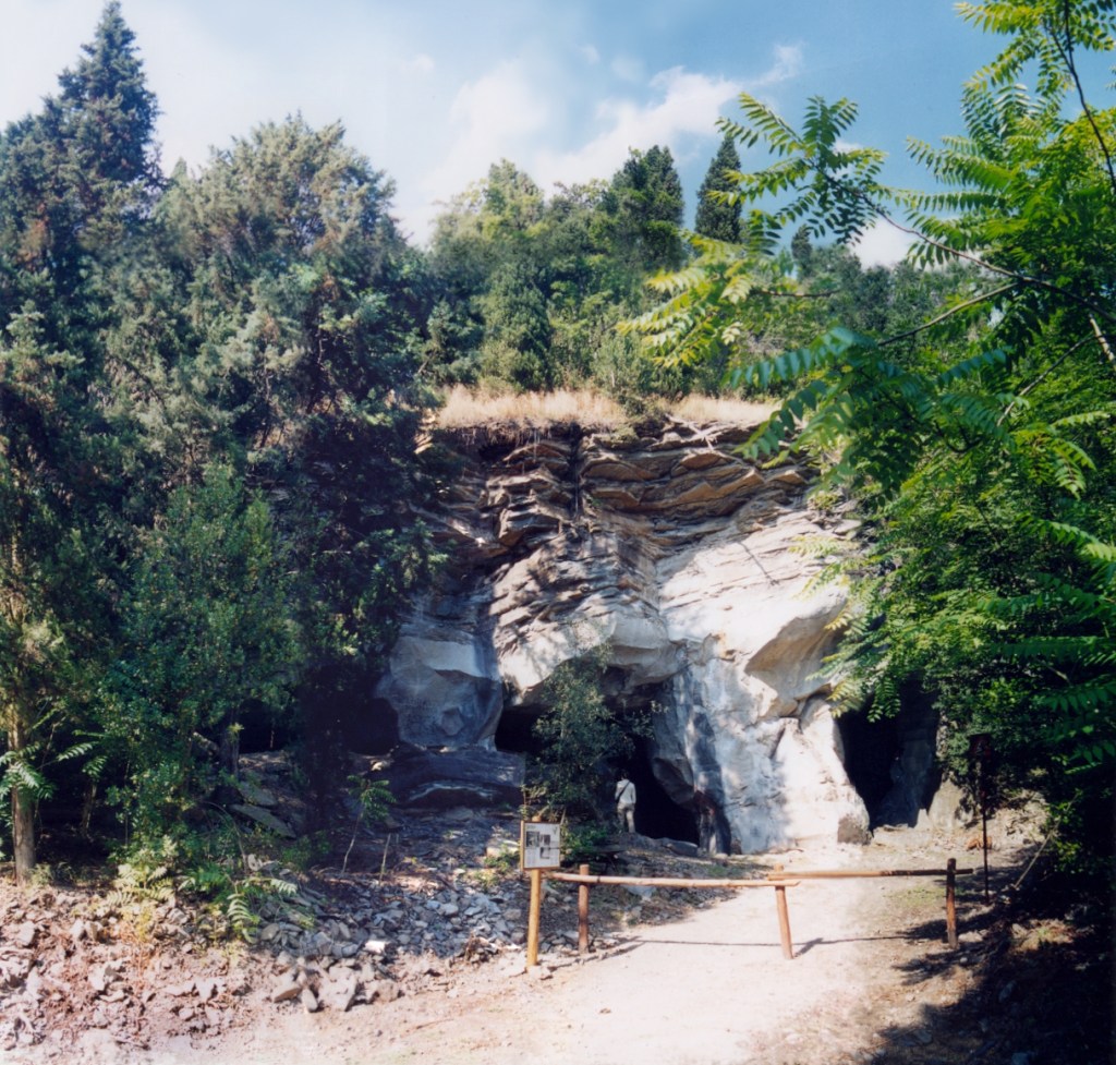 Cava braschi pietra serena montececeri