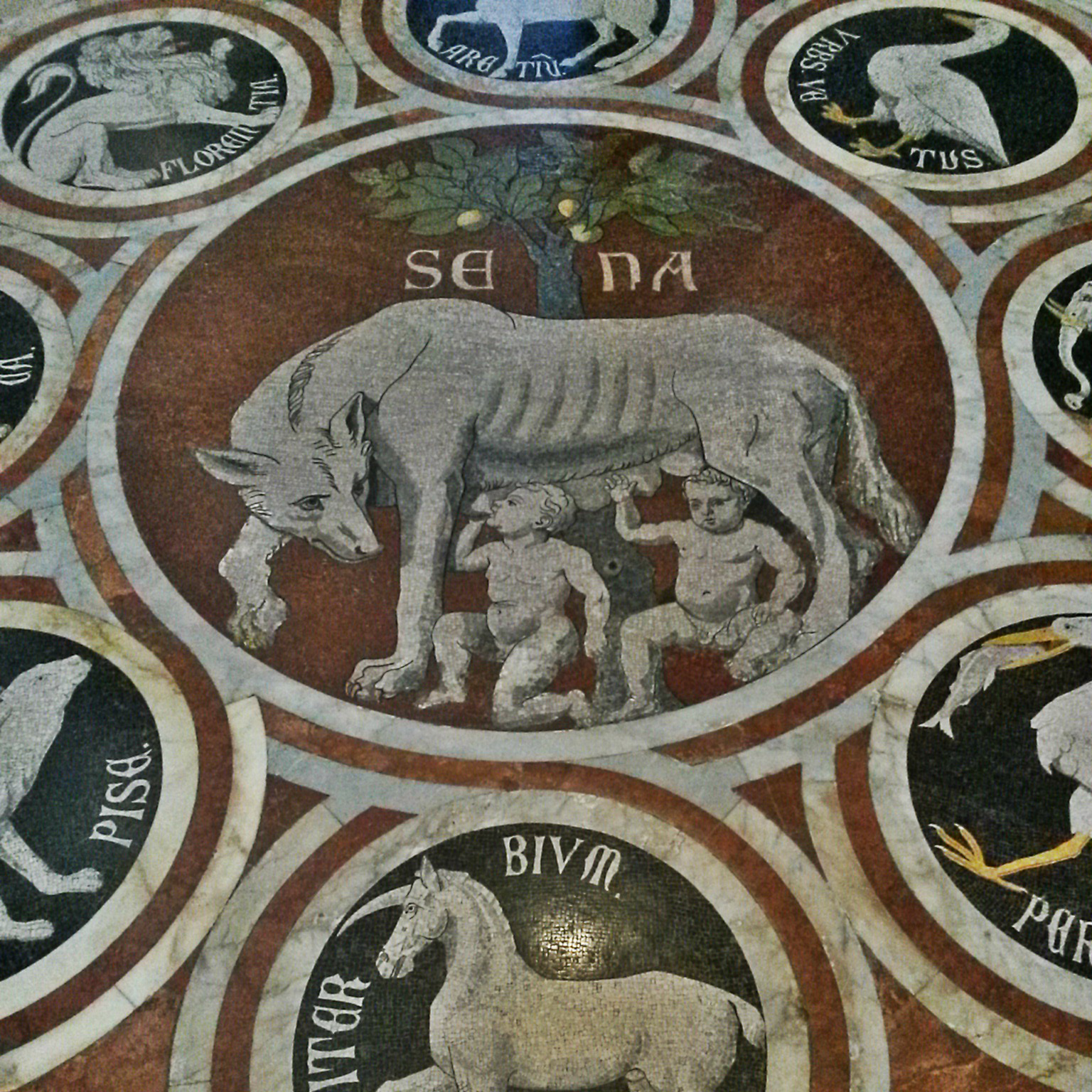 Pietre di rapolano marmo pavimento duomo siena church cattedrale romanico gotico