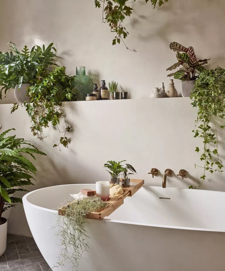 Contenitori per bagni di design