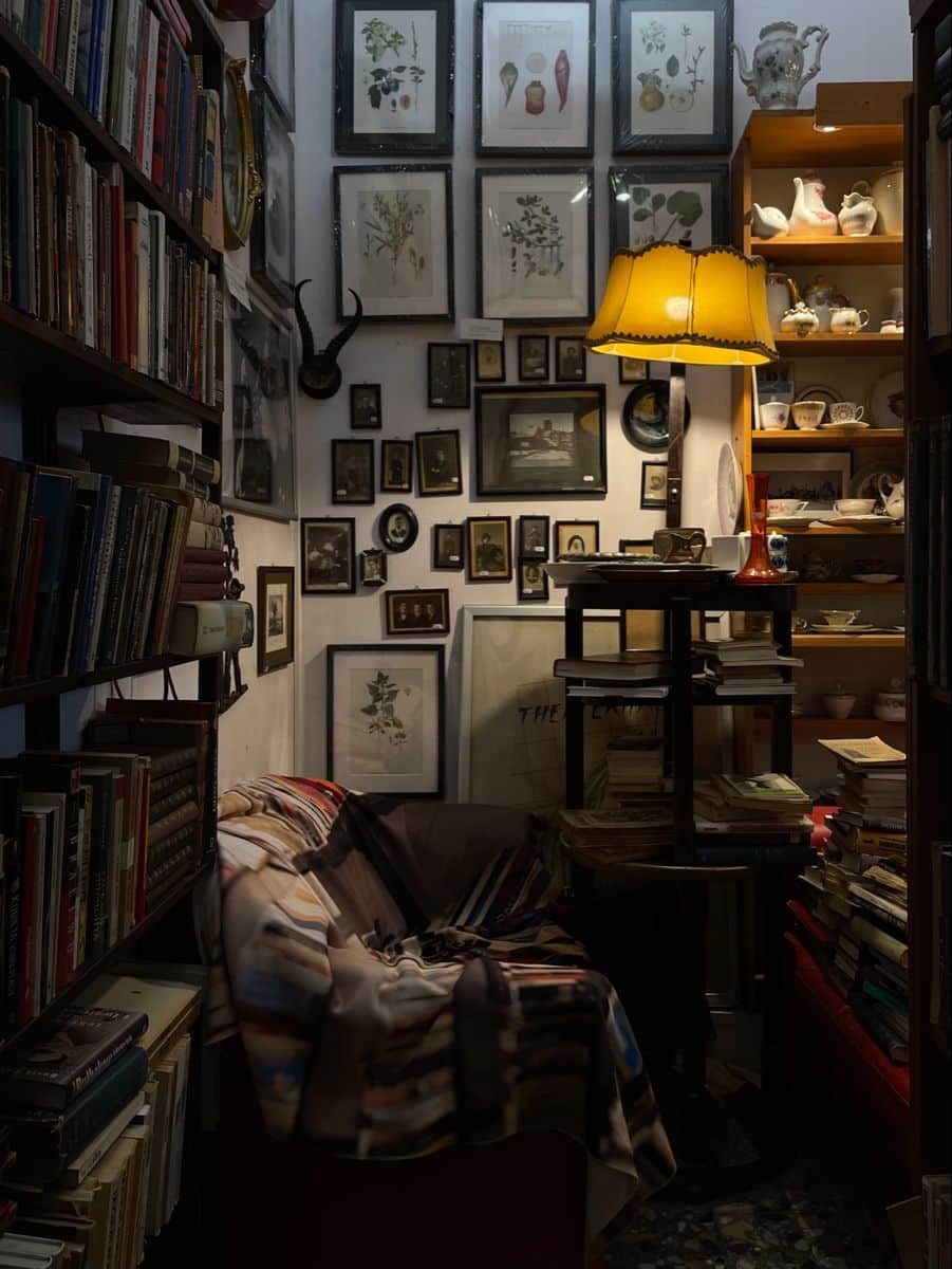 sala di lettura dark academy