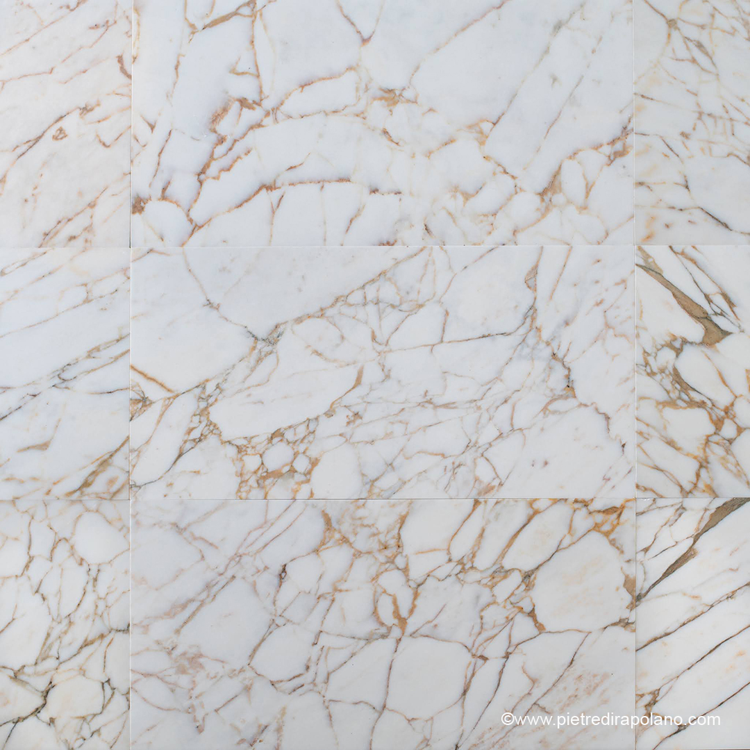 Breccia Gold x