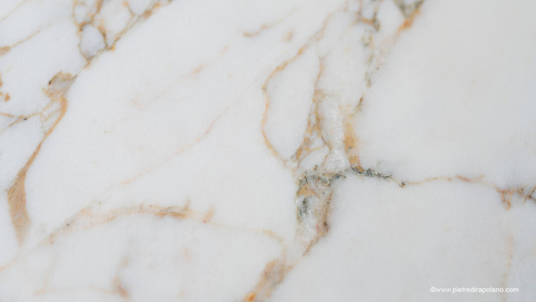 Breccia Gold x