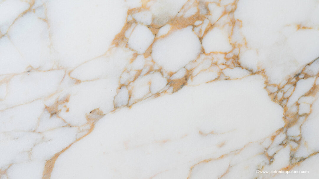Breccia Gold x