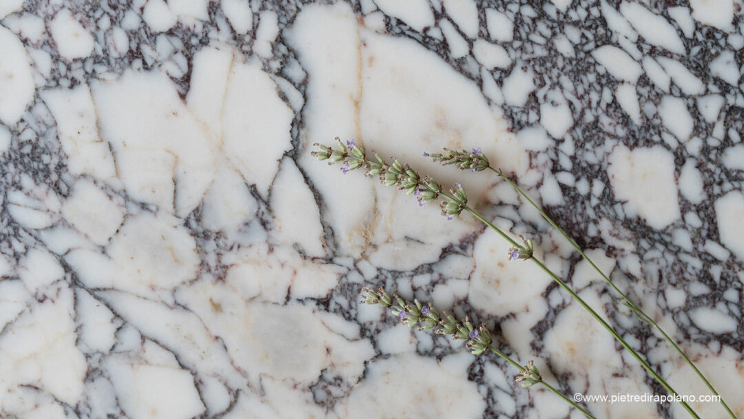 Breccia Viola x