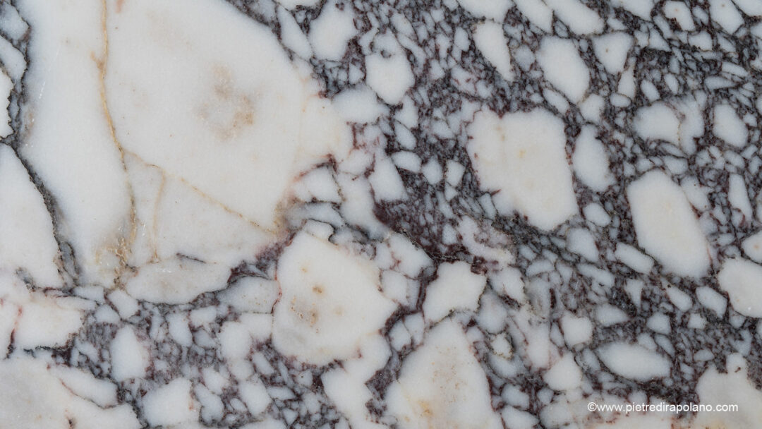 Breccia Viola x