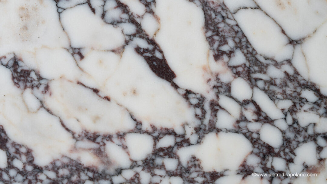 Breccia Viola x