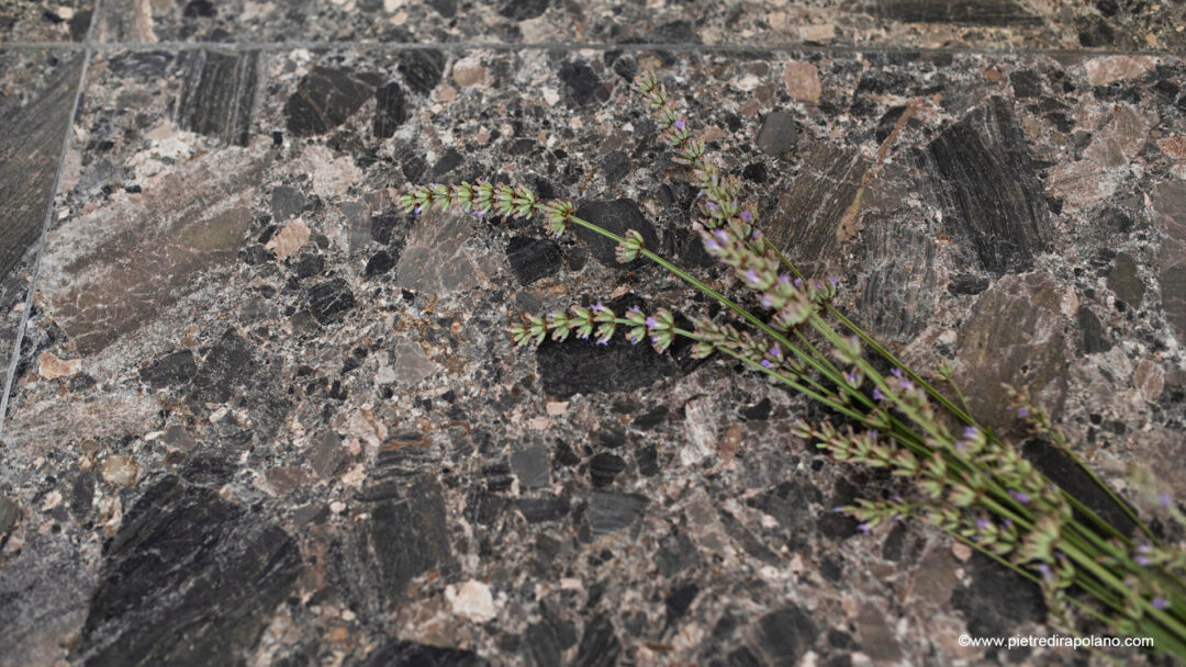Breccia d'oriente x