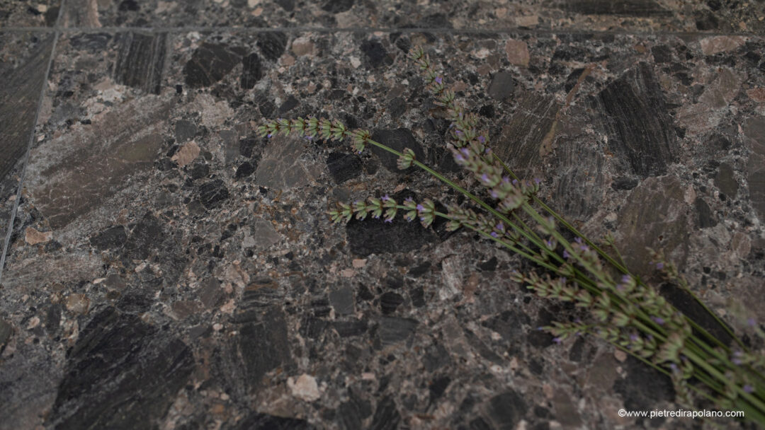 Breccia d'oriente x