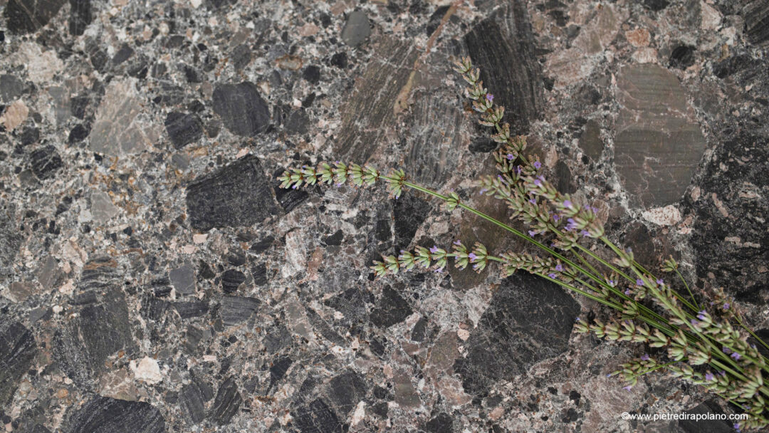 Breccia d'oriente x