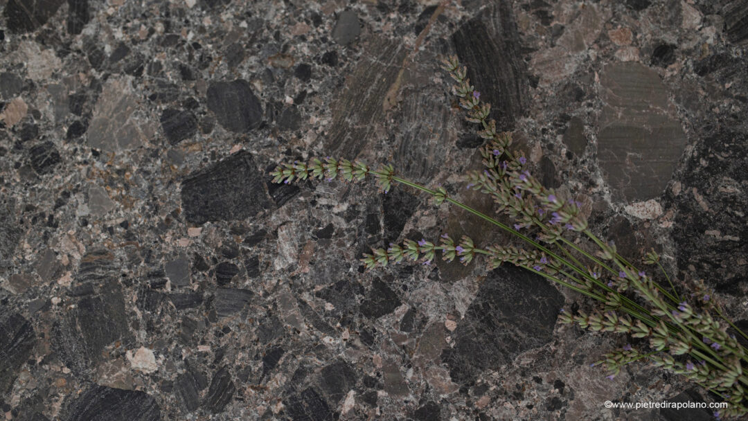 Breccia d'oriente x