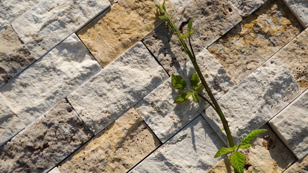 Mosaico in Travertino 5,0x10,0 Multicolor Spacco