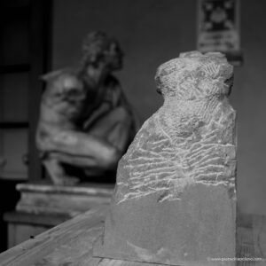 DSC02690